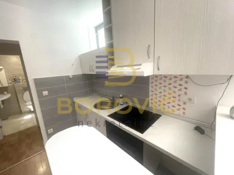 Rent, one bedroom apartment, 22m², Zemun Sve Podlokacije, Beograd - image 4