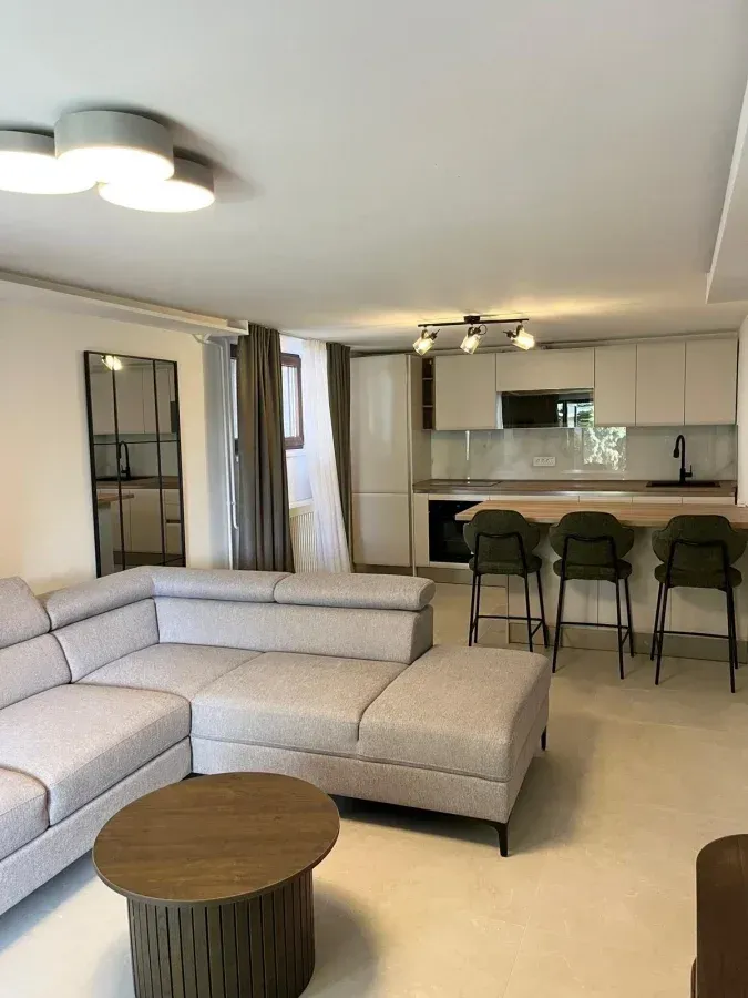 Izdavanje, kuća, 250m², Višnjička Banja, Palilula Sve Podlokacije