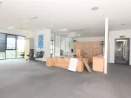 Izdavanje, poslovni prostor, 318m², Preko Morače, Podgorica - image 8