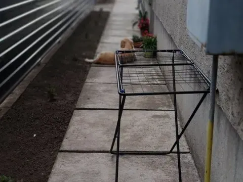 Prodaja, kuća, 170m², Nova Pazova, Stara Pazova - image 12