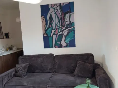 Izdavanje, jednosoban stan, 40m², Centar, Budva - image 13