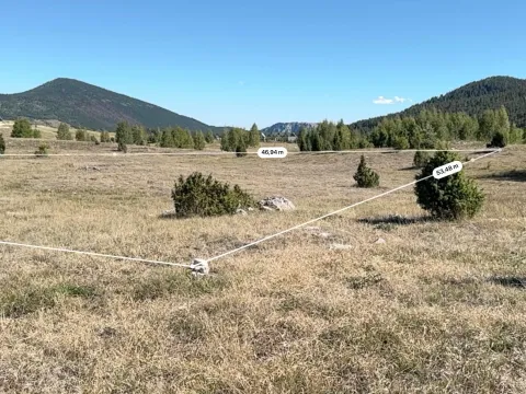Prodaja, plac, 2063m², Borje, Žabljak - image 3