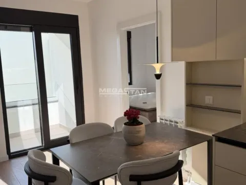 Izdavanje, dvosoban stan, 40m², Retenzija, Beograd - image 5