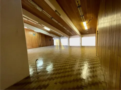 Izdavanje, poslovni prostor, 151m², Sremska Kamenica, Petrovaradin - image 5