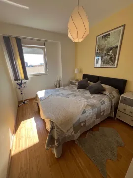 Rent, one bedroom apartment, 44m², Ilino, Bar - image 7
