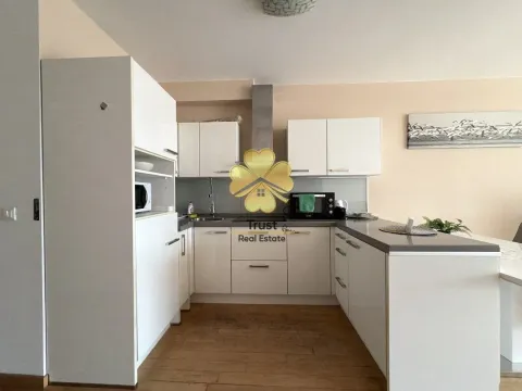 Izdavanje, jednosoban stan, 65m², Rozino, Budva - image 6