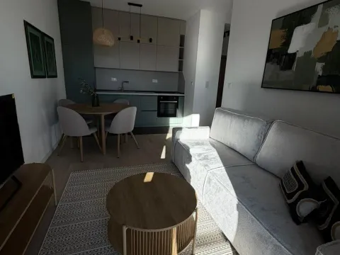 Izdavanje, jednosoban stan, 37m², Tološi, Podgorica - image 5