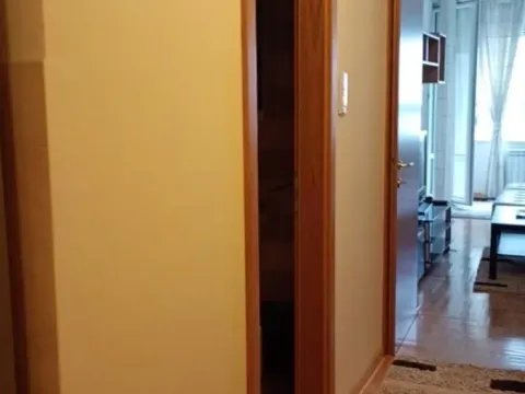 Izdavanje, dvosoban stan, 55m², Vračar Sve Podlokacije, Beograd - image 11