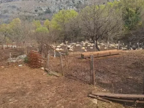 Sale, house, 65m², Danilovgrad, Crna Gora - image 4