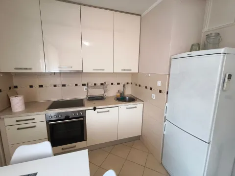 Izdavanje, jednosoban stan, 45m², Preko Morače, Podgorica - image 1