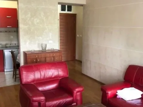 Izdavanje, jednosoban stan, 50m², Centar, Podgorica