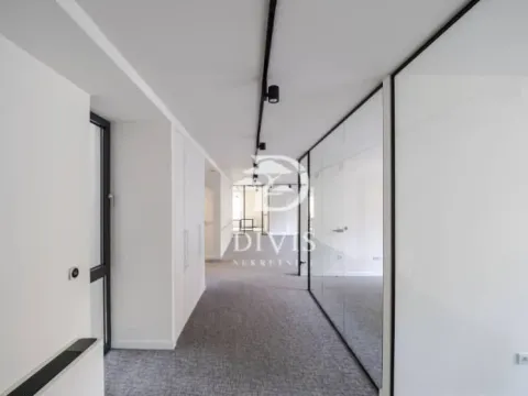 Izdavanje, poslovni prostor, 268m², Savski Venac, Beograd - image 6