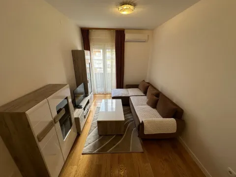 Rent, one bedroom apartment, 42m², Central Point, Podgorica - image 2