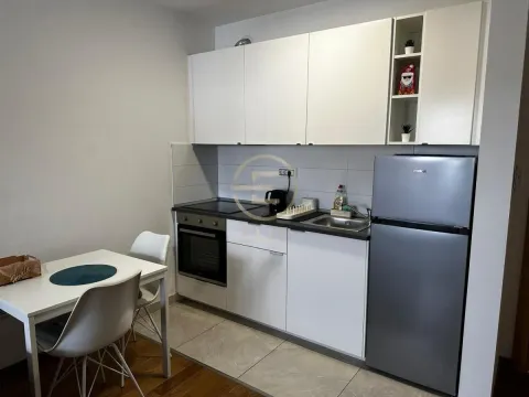 Izdavanje, jednosoban stan, 40m², Grbavica, Novi Sad Sve Podlokacije - image 3