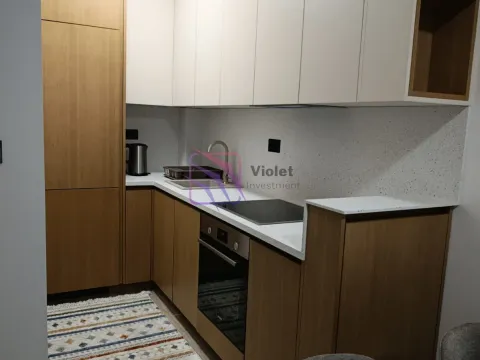 Rent, one bedroom apartment, 43m², Zagorič, Podgorica - image 2