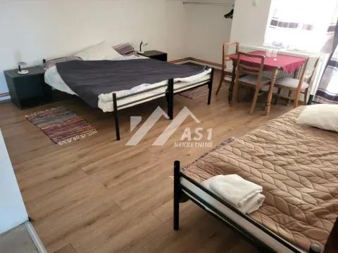 Rent, house, 221m², Čenej, Novi Sad Sve Podlokacije - image 5