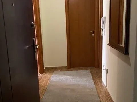 Izdavanje, dvosoban stan, 80m², Vezirov Most, Podgorica - image 4