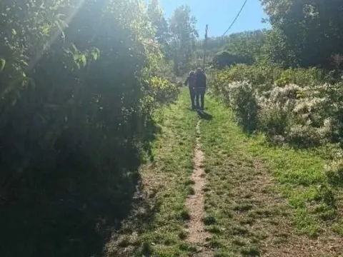 Sale, land lot, 13956m², Smederevo, Srbija - image 11