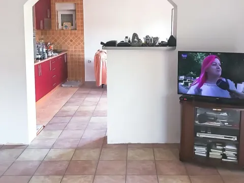 Sale, house, 300m², Zagorič, Podgorica - image 7