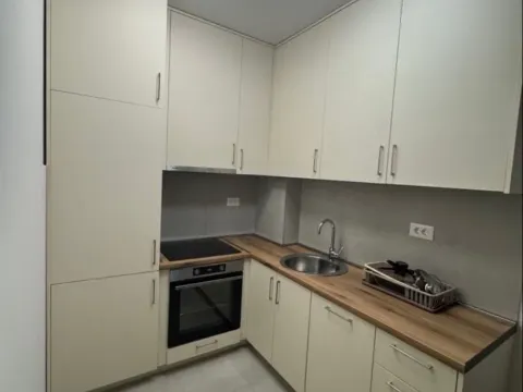 Rent, one bedroom apartment, 48m², Stari Aerodrom, Podgorica - image 2