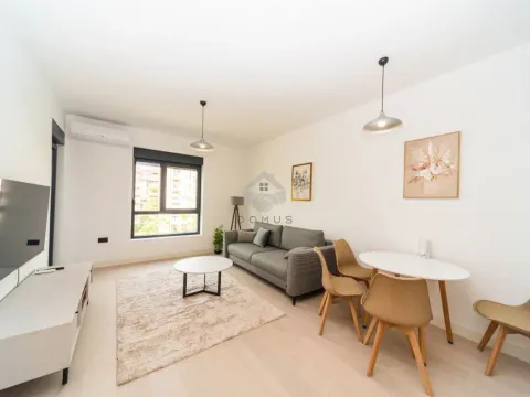 Izdavanje, jednosoban stan, 50m², Kruševac, Podgorica - image 10