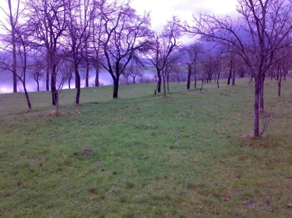 Prodaja, plac, 1750m², Vojno Selo, Plav