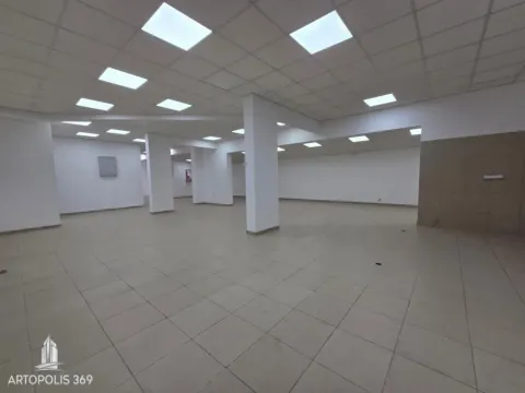 Izdavanje, poslovni prostor, 310m², Dušanovac, Voždovac Sve Podlokacije - image 9