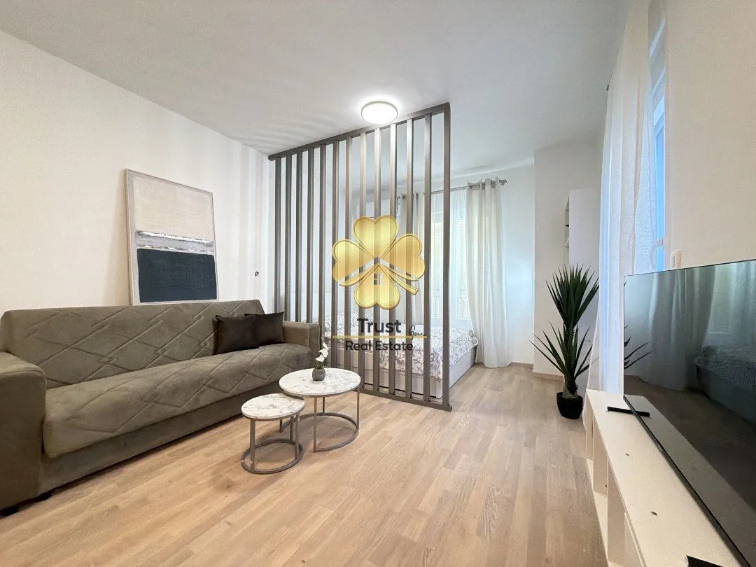 Izdavanje, garsonjera, 40m², Momišići, Podgorica