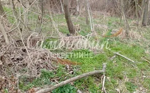 Prodaja, plac, 2200m², Sopot, Beograd - image 5