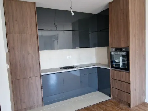 Rent, studio apartment, 43m², Zabjelo, Podgorica - image 2