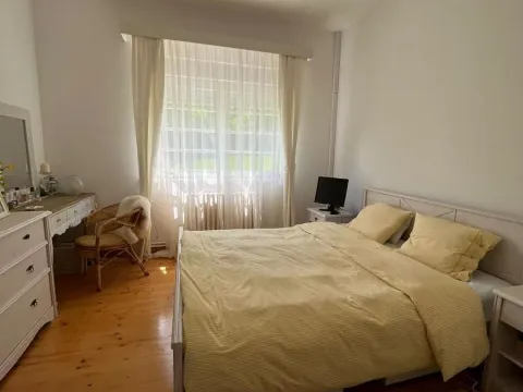 Prodaja, kuća, 320m², Fruška Gora, Novi Sad - image 7