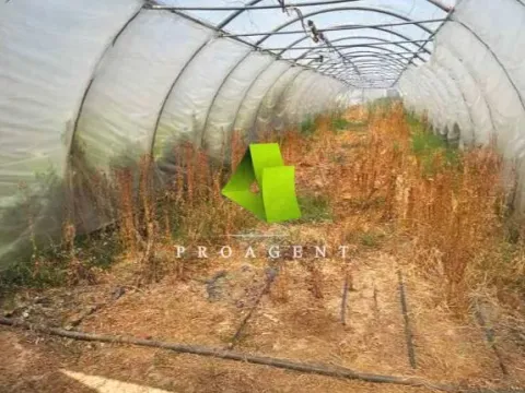 Prodaja, kuća, 100m², Dobrujevac, Boljevac - image 19