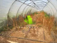 Prodaja, kuća, 100m², Dobrujevac, Boljevac - image 19