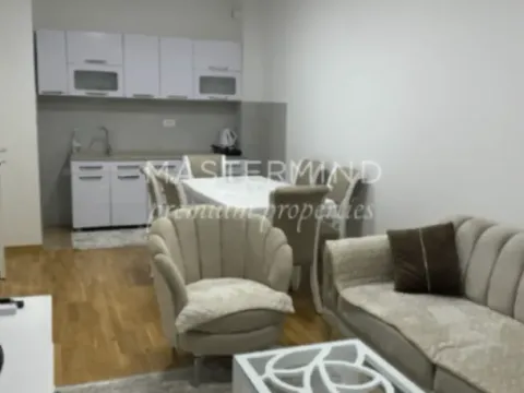 Izdavanje, jednosoban stan, 43m², Stari Aerodrom, Podgorica - image 4