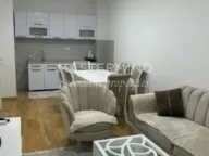 Izdavanje, jednosoban stan, 43m², Stari Aerodrom, Podgorica - image 4