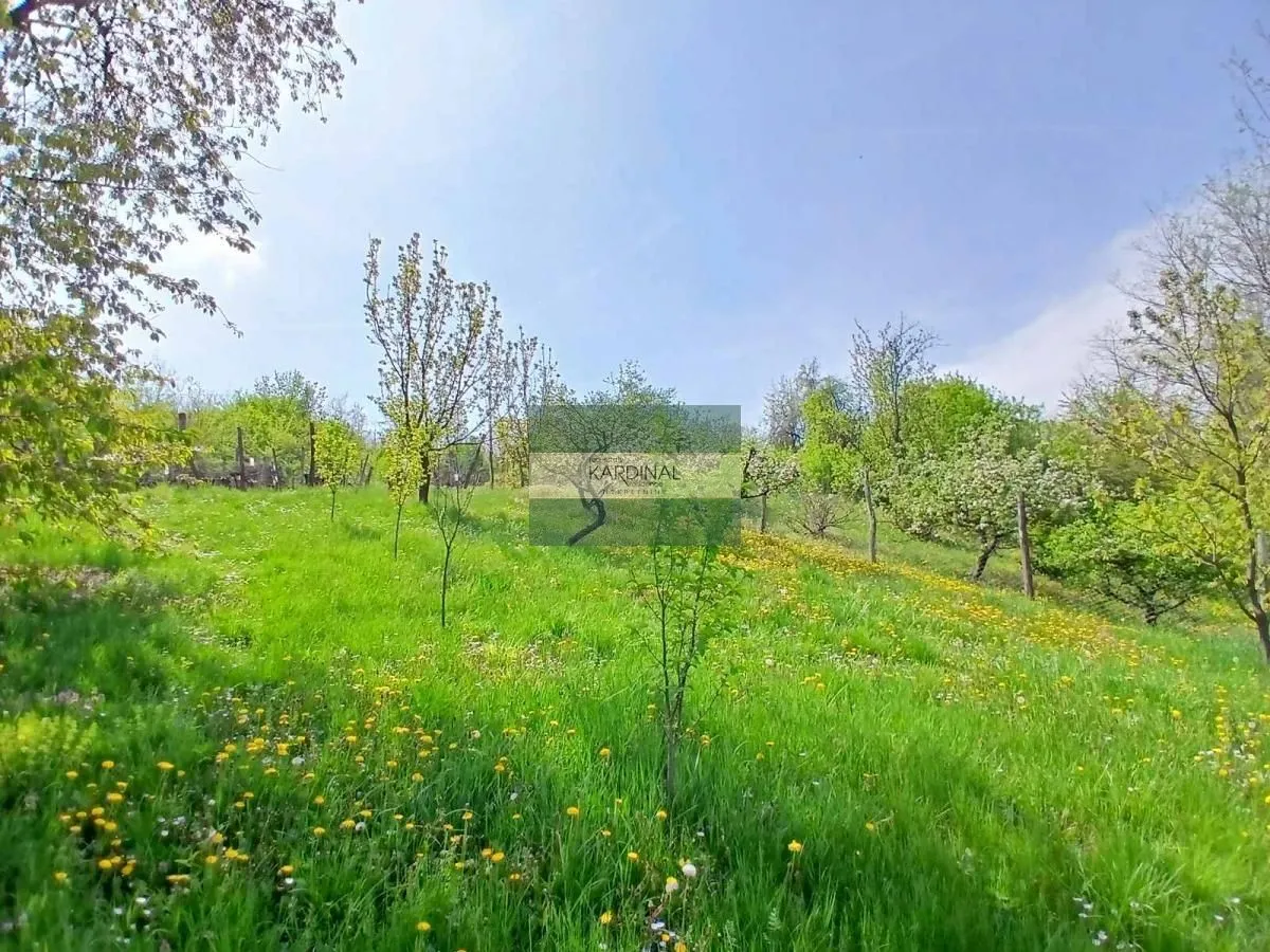Prodaja, plac, 1258m², Majur, Jagodina
