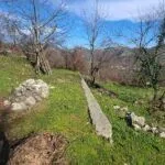 Izdavanje, kuća, 247m², Cetinje, Crna Gora - image 22