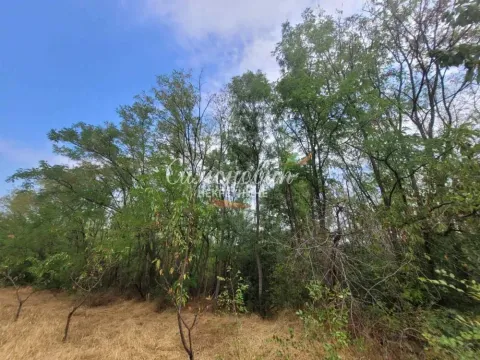 Sale, land lot, 6915m², Begaljica, Grocka - image 9