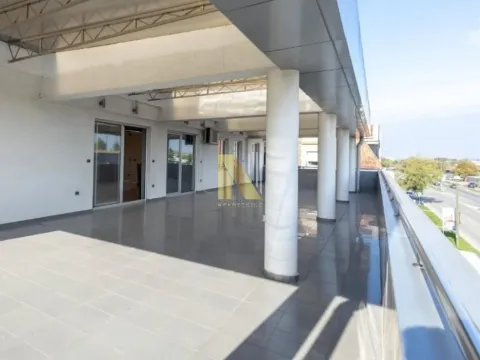 Izdavanje, poslovni prostor, 345m², Avijatičarsko naselje, Novi Sad Sve Podlokacije - image 6