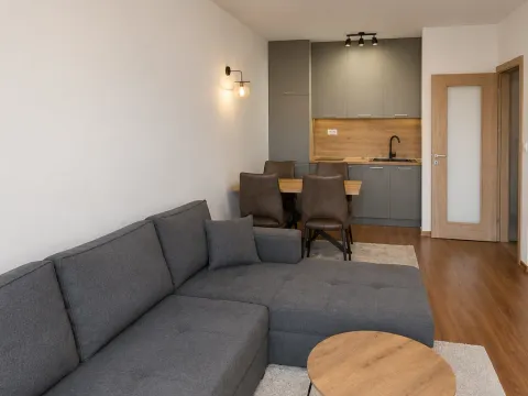 Izdavanje, jednosoban stan, 49m², Master Kvart, Podgorica - image 3