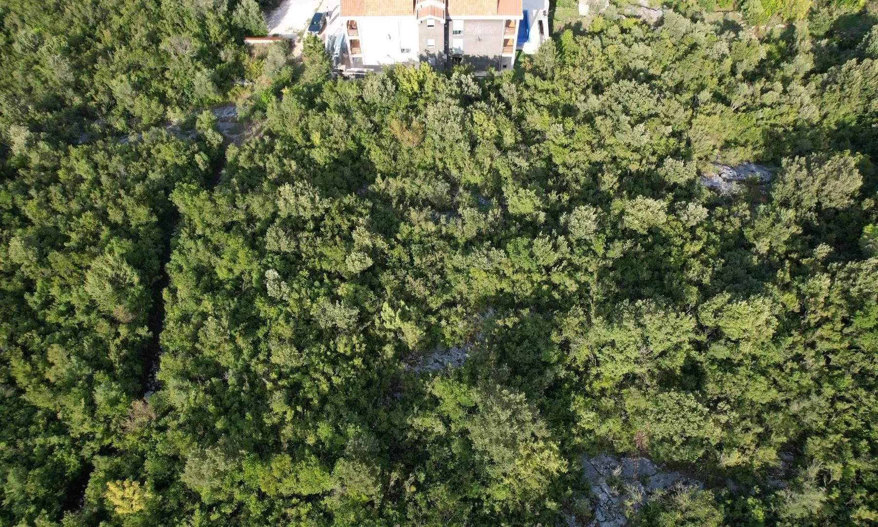 Prodaja, plac, 1612m², Đuraševići, Tivat