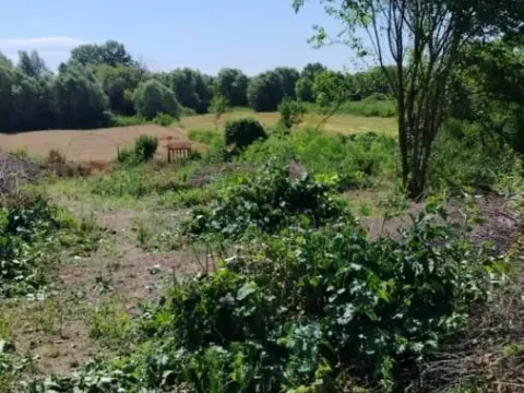 Prodaja, plac, 700m², Zabrežje, Obrenovac - image 2