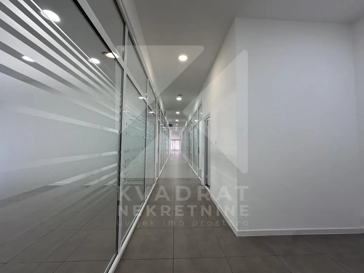 Izdavanje, poslovni prostor, 362m², Ljubović, Podgorica