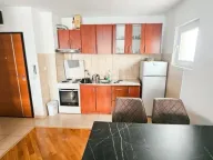 Izdavanje, jednosoban stan, 41m², Kod Big Fashion-a, Podgorica - image 3