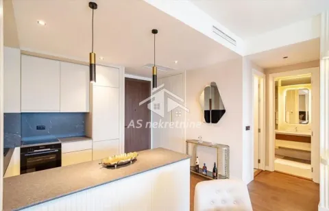 Izdavanje, dvosoban stan, 70m², Savski Venac, Beograd - image 13