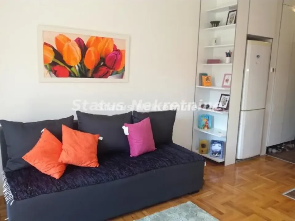 Rent, studio apartment, 26m², Nova Detelinara, Novi Sad Sve Podlokacije