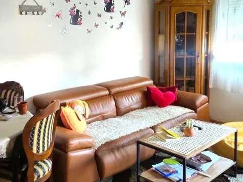 Izdavanje, jednosoban stan, 40m², Stari Aerodrom, Podgorica - image 1