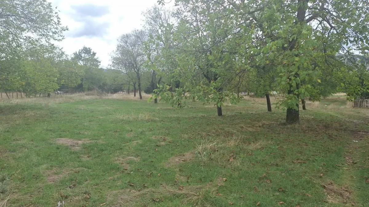 Prodaja, plac, 3000m², Grahovo, Nikšić