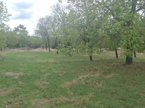 Prodaja, plac, 3000m², Grahovo, Nikšić - image 2