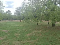 Prodaja, plac, 3000m², Grahovo, Nikšić - image 2